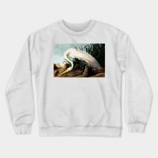 Bird of America  Bird, bird lover, america, beautiful  Public domain painting by John James Audubon Crewneck Sweatshirt